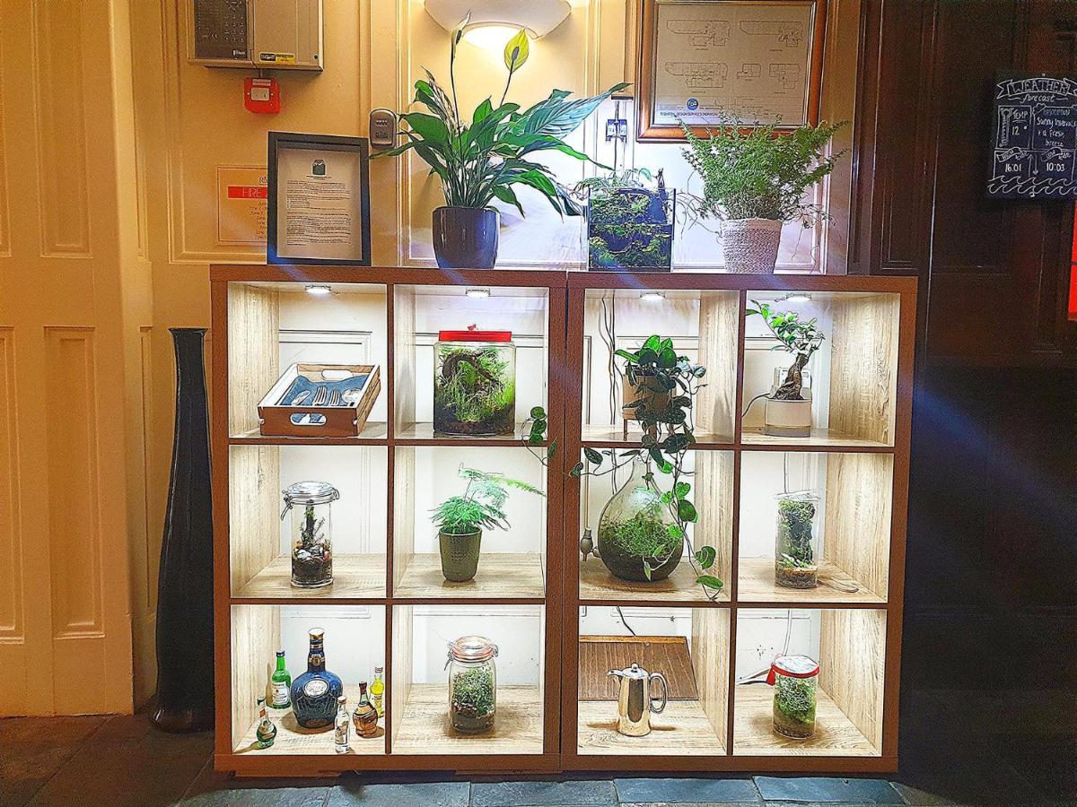 The Red Lion Hotel Cromer Exterior photo A selection of closed terrarium systems